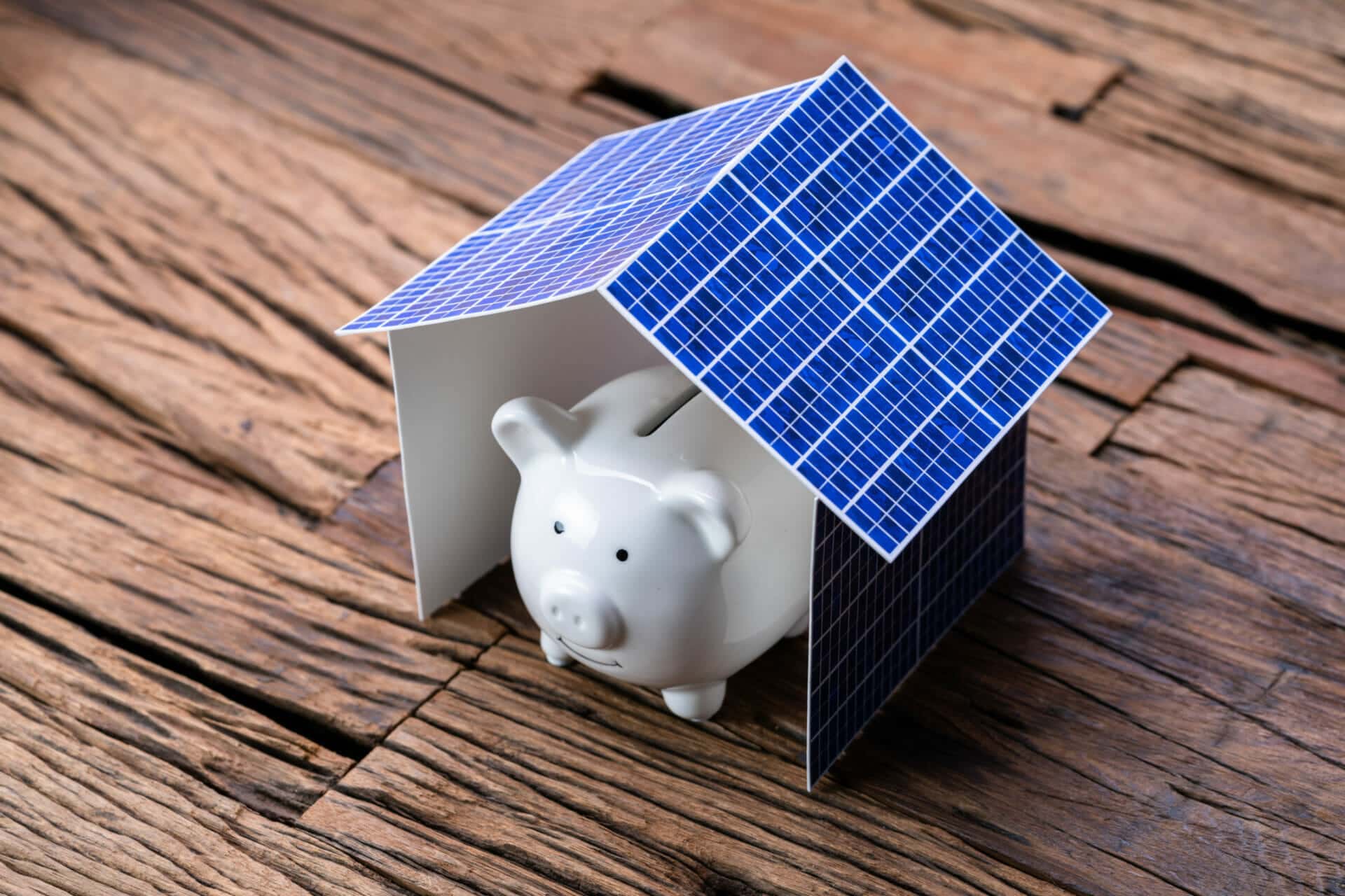 Solar Piggy Bank