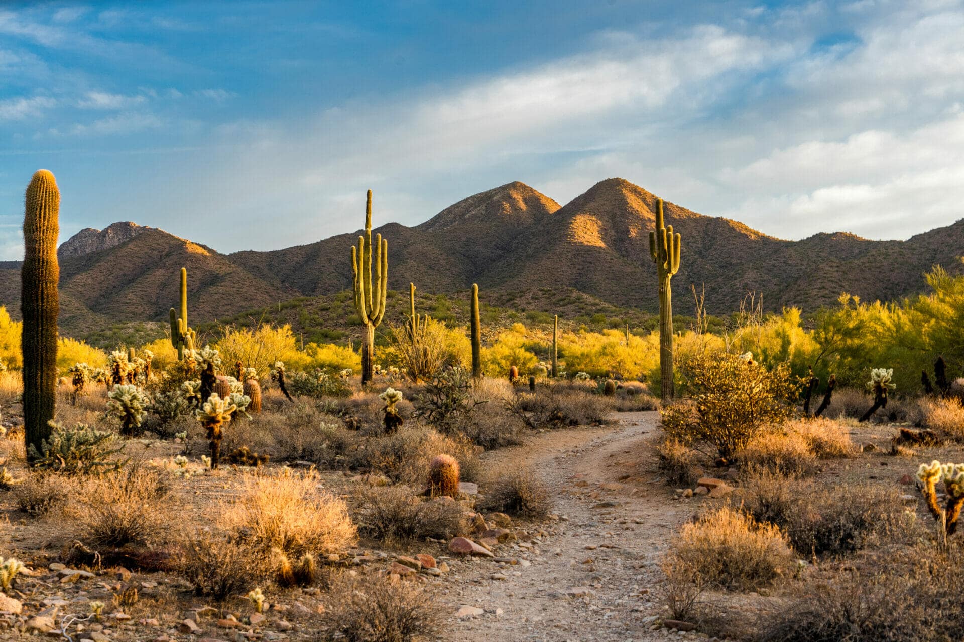 Arizona Mountains