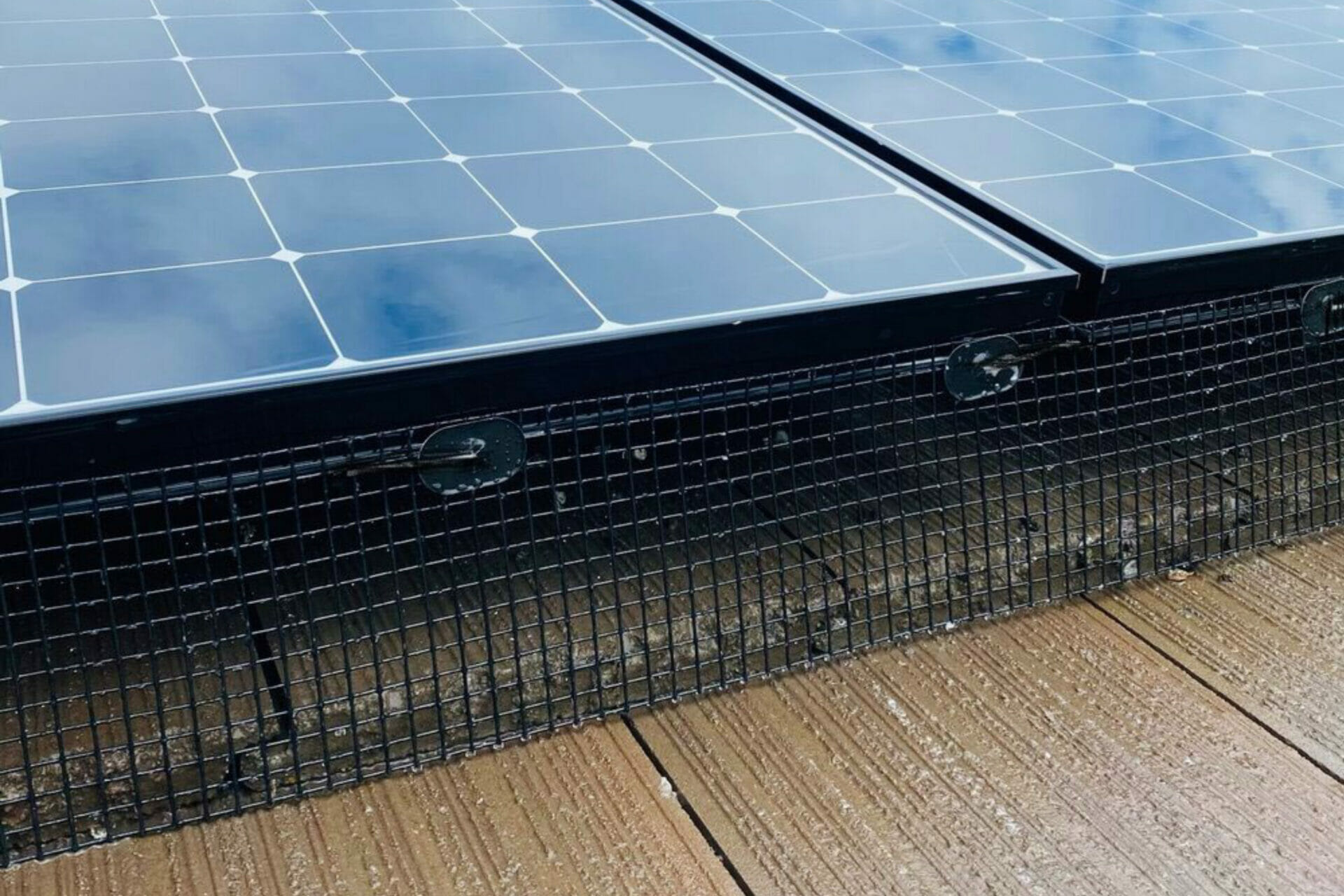 Solar Panel Bird Proofing