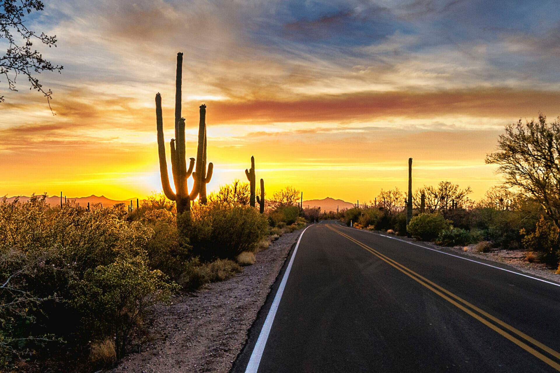 Arizona Highway